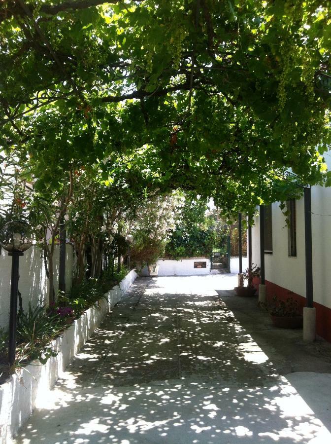 Casa Vacanze Paestum - Cilento Экстерьер фото